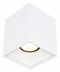 Накладной светильник ST-Luce ST168 ST168.502.01