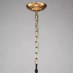 Подвесная люстра Favourite Roshe 2624-8P