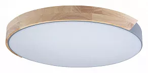 Накладной светильник Loft it Axel 3 10004/36 Grey