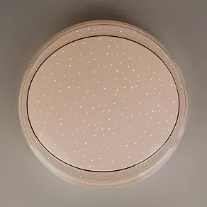 Накладной светильник Elektrostandard 40007 a041561
