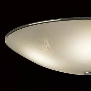 Накладной светильник Citilux Лайн 911 CL911503