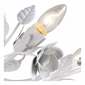Потолочная люстра Arte Lamp Rosarium A1196PL-8WG