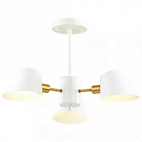 Люстра на штанге Lumion Kenia 4465/3C