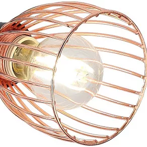 Потолочная люстра Rivoli Insolito S3 CP Б0038132