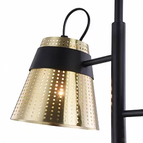 Торшер Maytoni Trento MOD614FL-02BS
