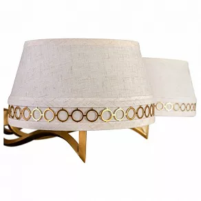 Подвесная люстра L'Arte Luce  L02620