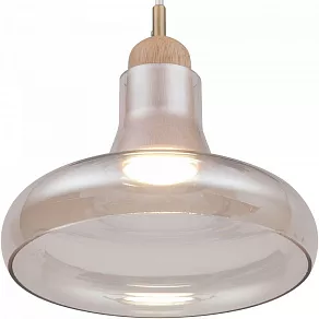 Подвесной светильник Maytoni Ola P016PL-01BS