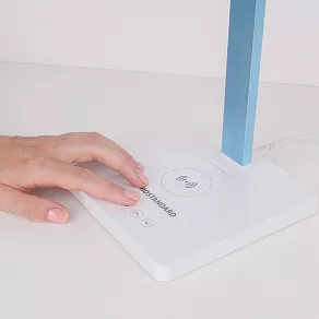 Настольная лампа офисная Elektrostandard Lori a039564