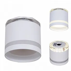 Накладной светильник Reluce  53001-9.5-001LD GX53+LED3W WT