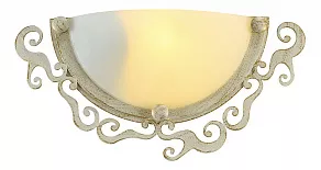 Накладной светильник Arte Lamp Riccioli A1060AP-1WG
