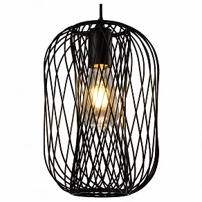 Подвесной светильник TopLight Debra TL1189H-01BK