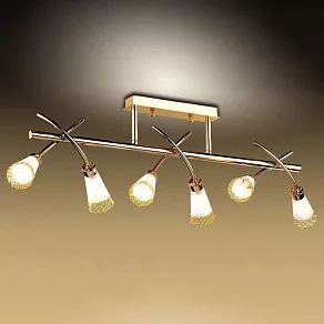 Светильник на штанге Odeon Light Coli 1805/6