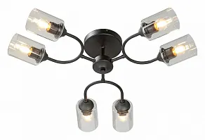 Потолочная люстра Vitaluce V2822 V2822-1/6PL