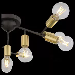 Потолочная люстра ST-Luce Foglione SL437.402.12