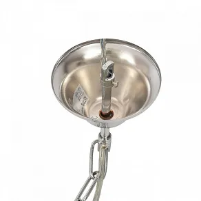 Подвесная люстра Lumion SUANA 8317/8