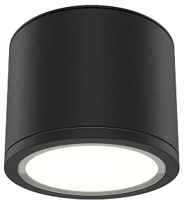 Накладной светильник Maytoni Rendo C095CL-GX53-B