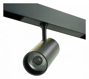 Светильник на штанге LIGHTERA Startrek 220 LE169TRS-10B WIFI