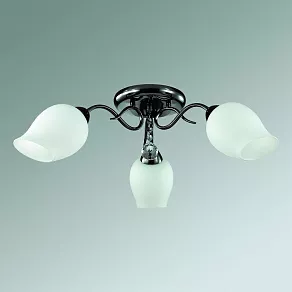 Потолочная люстра Lumion Rondina 3076/3C