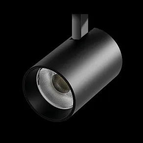 Светильник на штанге Lightstar Fuoco LED 215437