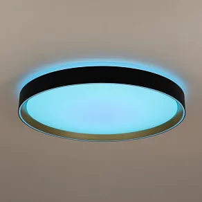 Накладной светильник Citilux BOSS CL751451G