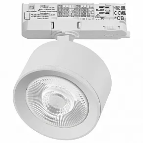 Светильник на штанге Lightstar Alta Pro A5536QT60G