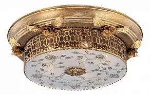 Накладной светильник Odeon Light Capua 2642/5C