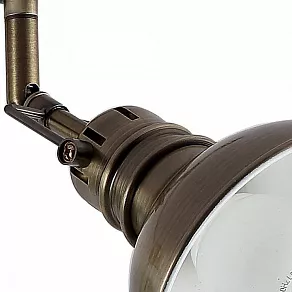 Спот Arte Lamp 1102 A1102PL-4AB