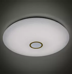 Накладной светильник Citilux Старлайт Смарт CL703A143G