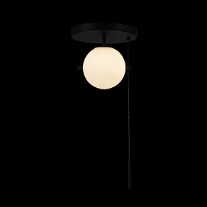 Светильник на штанге Loft it Signal 10029C Black