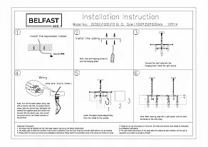 Подвесная люстра Belfast Erskine 22352-1000-12 GL CL