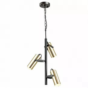 Подвесная люстра Lumion Claire 3714/3A