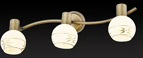 Спот TopLight Sharleen TL3790Y-03AB