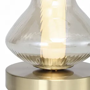 Настольная лампа декоративная ST-Luce SPINE SL6136.204.01