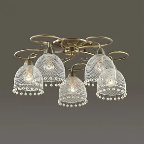 Потолочная люстра Lumion Agnessa 3269/5C