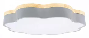 Накладной светильник Loft it Axel 10225/36 Grey