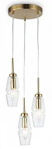 Подвесной светильник Ambrella Light LH LH55210