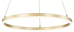 Подвесной светильник Escada Void 10254/1LED Gold APP