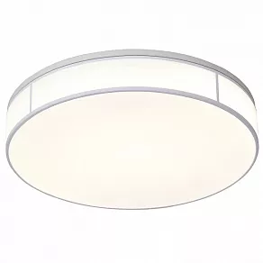 Накладной светильник ST-Luce Fella SL417.502.01