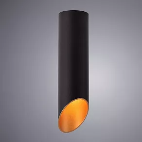Накладной светильник Arte Lamp Pilon-Silver A1535PL-1BK