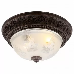Накладной светильник Arte Lamp Piatti A8006PL-2CK