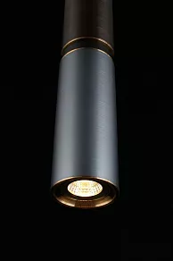 Подвесной светильник Aployt Paula APL.617.16.01