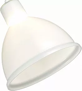 Подвесной светильник EVOLUCE Bacchi SLE114703-01