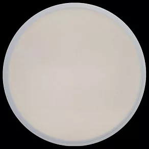 Накладной светильник Loft it Axel 1 10002/12 White