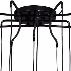 Подвесная люстра Favourite Leo 1727-12P