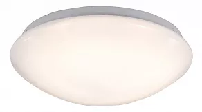 Накладной светильник ST-Luce SL470 SL470.501.01