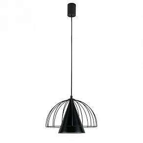 Подвесной светильник Lighthall Iris LH012096
