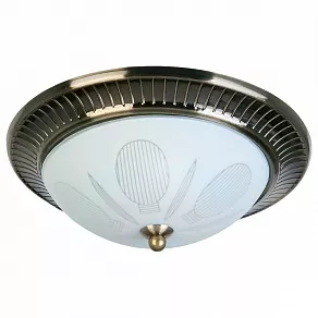 Накладной светильник TopLight Fae TL5060Y-02AB