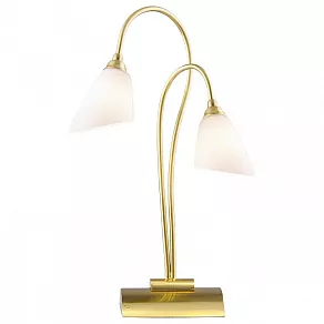 Настольная лампа декоративная Odeon Light Hedys 1374/2T
