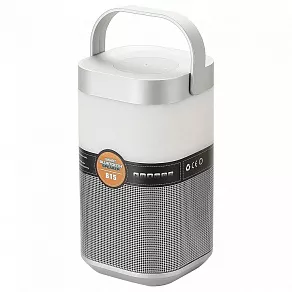 Настольная лампа офисная Arte Lamp Music band A2005LT-1SI