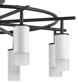 Люстра на штанге Lightstar Rullo LR7183681